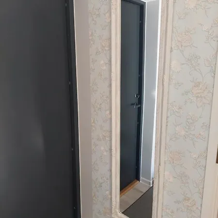 Διαμέρισμα Roosi *