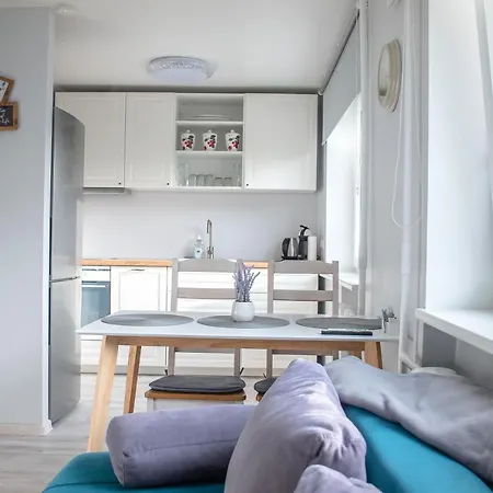 Roosi アパート *