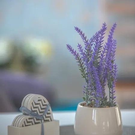 Apartamento Roosi